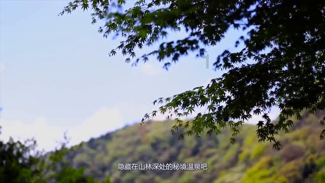 2016年四川妇女打牌时获知,11年前害她赔30万的死者,现在还活着